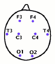 EEG electrode positions